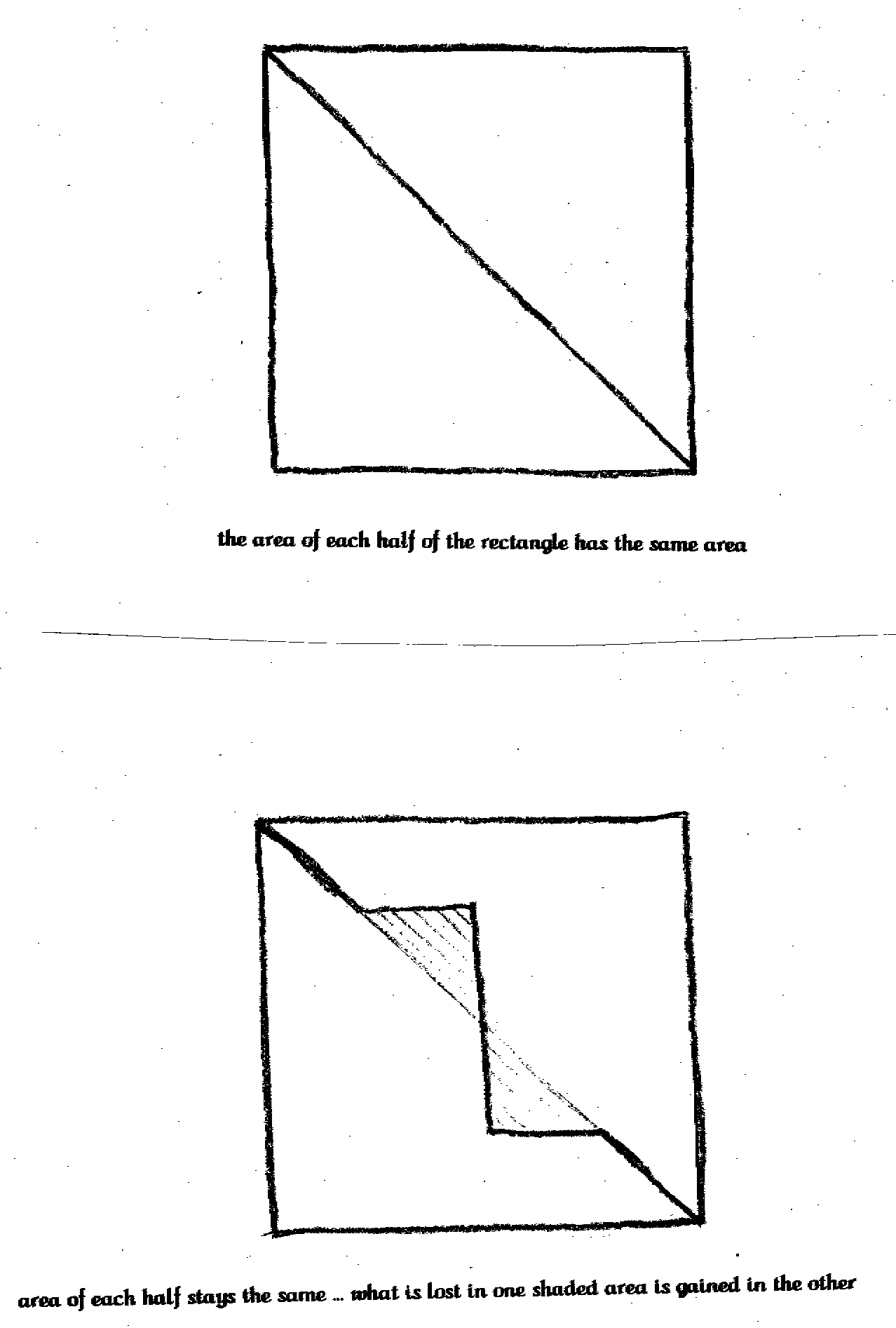 area of half a rectangle