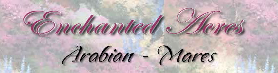 Enchanted Acres' Arabian Mares